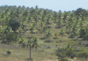 Foto 1 de Fazenda/Sítio com 3 Quartos à venda, 2870000m² em Porto de Sauipe, Entre Rios