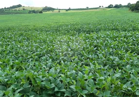 Foto 1 de Fazenda/Sítio com 1 Quarto à venda, 3466800m² em Centro, Turvolândia