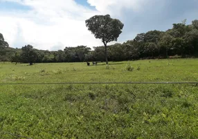 Foto 1 de Fazenda/Sítio à venda, 309m² em , Barrolândia