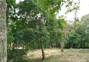 Foto 1 de Lote/Terreno à venda, 2000m² em Jardim Colibri, Embu das Artes