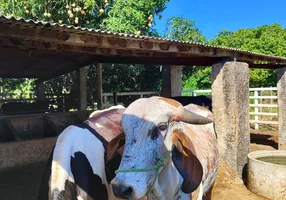 Foto 1 de Fazenda/Sítio com 4 Quartos à venda, 130m² em Zona Rural, São José de Mipibu