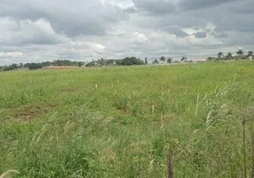 Foto 1 de Lote/Terreno à venda, 2000m² em Zona Rural, Marialva