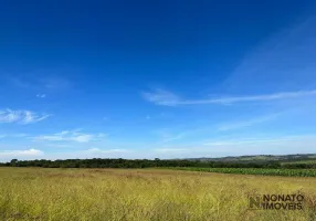 Foto 1 de Fazenda/Sítio com 1 Quarto à venda, 1016400m² em Vila São Joaquim, Anápolis