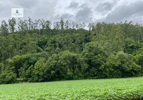 Foto 1 de Lote/Terreno à venda, 352m² em Centro, Nova Itaberaba