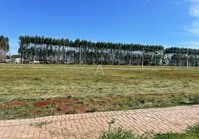 Foto 1 de Lote/Terreno à venda, 301m² em Recanto Tropical, Cascavel