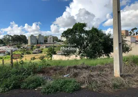 Foto 1 de Lote/Terreno à venda, 655m² em Jardim Inconfidência, Uberlândia