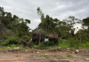 Foto 1 de Lote/Terreno à venda, 375m² em Rosa dos Ventos, Itapoá