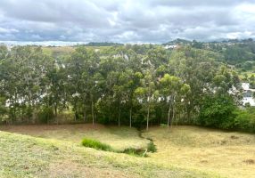 Lotes/Terrenos à venda em São Pedro, Juiz de Fora - Viva Real