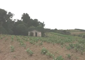 Foto 1 de Fazenda/Sítio com 1 Quarto à venda, 19400m² em Colônia Malhada, São José dos Pinhais