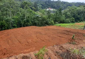 Foto 1 de Lote/Terreno à venda, 369m² em Vila Lenzi, Jaraguá do Sul