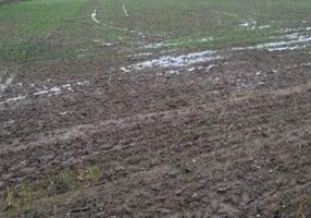 Foto 1 de Fazenda/Sítio à venda em Vila Paulista, Taubaté