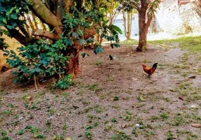 Foto 1 de Fazenda/Sítio com 1 Quarto à venda, 500m² em Vila Cosmopolita, São Paulo