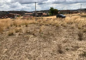 Foto 1 de Lote/Terreno à venda, 300m² em Cruangi, Timbaúba