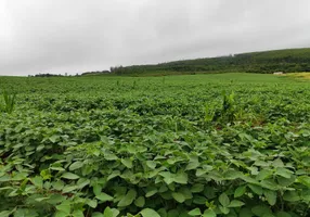 Foto 1 de Fazenda/Sítio com 1 Quarto à venda, 96600m² em Zona Rural, Pilar do Sul