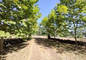 Foto 1 de Fazenda/Sítio com 5 Quartos à venda, 34000m² em , Portão