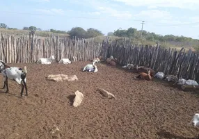 Foto 1 de Fazenda/Sítio com 3 Quartos à venda, 380000m² em Centro, Apodi