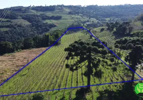 Foto 1 de Fazenda/Sítio à venda, 70000m² em Zona Rural, Monte Belo do Sul