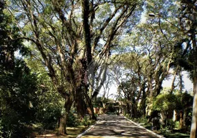 Foto 1 de Lote/Terreno à venda, 609m² em Bosque do Vianna, Cotia