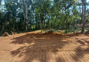 Foto 1 de Lote/Terreno à venda, 4000m² em Zona Rural, Morretes