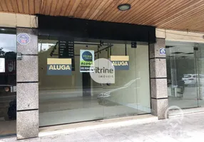 Foto 1 de Ponto Comercial para alugar, 44m² em Ponte da Saudade, Nova Friburgo