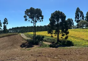 Foto 1 de Fazenda/Sítio à venda, 20000m² em Zona Rural, Campo Alegre