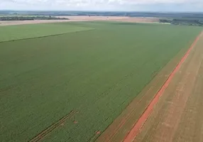 Foto 1 de Fazenda/Sítio com 7 Quartos à venda, 55m² em , Turvelândia