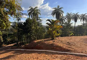 Foto 1 de Fazenda/Sítio com 1 Quarto à venda, 2000m² em Morro Vermelho, Caeté