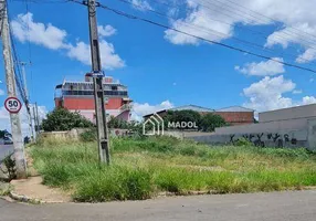 Foto 1 de Lote/Terreno à venda, 695m² em Cara Cara, Ponta Grossa