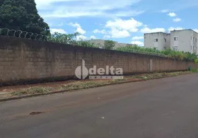 Foto 1 de Lote/Terreno à venda, 6000m² em Chácaras Tubalina E Quartel, Uberlândia