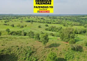 Foto 1 de Fazenda/Sítio com 2 Quartos à venda, 454000m² em Zona Rural, Colméia