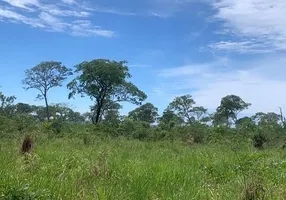 Foto 1 de Fazenda/Sítio à venda, 1m² em Centro, Ribas do Rio Pardo