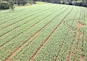 Foto 1 de Fazenda/Sítio à venda, 133100m² em Centro, Candói