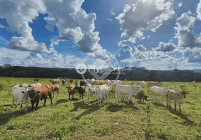 Foto 1 de Fazenda/Sítio à venda, 20m² em Zona Rural, Campo Florido