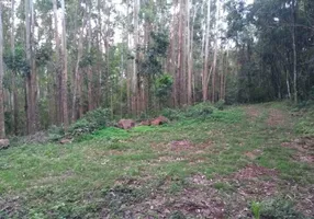 Foto 1 de Lote/Terreno à venda, 85000m² em Palmas, Arroio do Meio