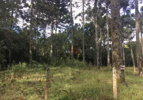 Foto 1 de Lote/Terreno à venda, 750m² em Caracol, Canela