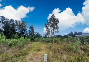 Foto 1 de Lote/Terreno à venda, 9900m² em Avenida Central, Gramado