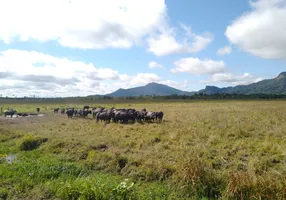 Foto 1 de Fazenda/Sítio à venda em Rocio, Iguape