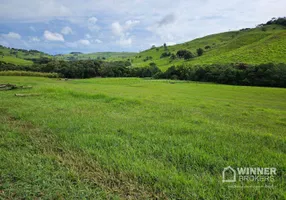 Foto 1 de Fazenda/Sítio com 2 Quartos à venda, 8615200m² em Centro, Nova Tebas