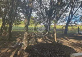 Foto 1 de Fazenda/Sítio à venda, 600m² em Zona Rural, Mara Rosa