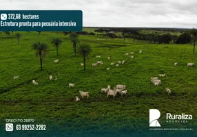 Foto 1 de Fazenda/Sítio à venda, 372m² em Zona Rural, Abreulândia