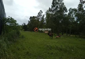 Foto 1 de Lote/Terreno à venda, 10000m² em Fragata, Pelotas