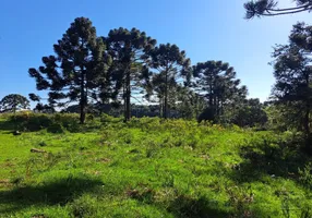 Foto 1 de Lote/Terreno à venda, 20000m² em , São Francisco de Paula