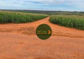 Foto 1 de Fazenda/Sítio à venda, 2904000m² em Zona Rural, Campo Alegre de Goiás