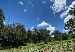 Foto 1 de Fazenda/Sítio com 3 Quartos à venda, 144000m² em Area Rural de Amparo, Amparo