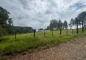 Foto 1 de Fazenda/Sítio à venda, 6470m² em Caracol, Canela