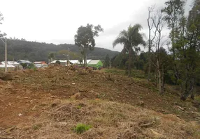 Foto 1 de Lote/Terreno à venda, 651m² em Vale Verde, Nova Petrópolis