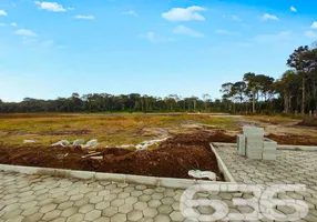 Foto 1 de Lote/Terreno à venda, 471m² em Praia do Ervino, São Francisco do Sul