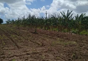 Foto 1 de Fazenda/Sítio com 3 Quartos à venda, 11111111m² em Povoado Punau, Rio do Fogo