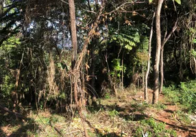 Foto 1 de Lote/Terreno à venda, 1296m² em Mirante da Mata, Nova Lima