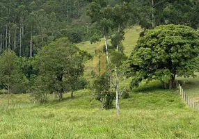 Foto 1 de Fazenda/Sítio com 3 Quartos à venda, 9490m² em Santa Lídia, Penha